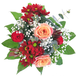 Thoughtfully crafted by Sutton's seasoned florists, this bouquet is a testament to local passion and floral expertise. The eye is first drawn to the sumptuous red roses-symbols of affection and heartfelt emotion-as they open beside russet and burgundy chrysanthemums whose lime-green eyes add joyful bursts of colour. Nestled between them, delicate apricot roses unfurl in a gentle spiral, offering golden warmth that feels as welcome on a Sutton morning as sunlight over Manor Park. Sprays of tiny white gypsophila interlace among the larger flowers, cloud-like and soft, lending an ethereal lift to the compact, circular design. The bouquet is grounded by layers of lush foliage and eucalyptus, their varied greens reminiscent of Sutton's tree-lined avenues and vibrant open spaces. Adding intrigue, a single spiky burgundy Protea punctuates the design, catching the light and offering an exotic touch. Each element-chosen with care and arranged with skilled hands-works together to celebrate life's brightest moments. Ideal for birthdays, heartfelt thanks, or simply bringing joy to someone's day, this fresh-cut display embodies the expertise and heartfelt service Flower Sutton provides to the local community. The scent is subtle yet inviting, with the comfort of roses and a green freshness that echoes through the Sutton air. Available for swift, same-day delivery anywhere from Carshalton to Belmont, this bouquet brings a piece of local artistry to each doorstep.